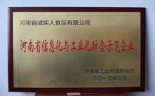 河南信息與工業(yè)融合師范企業(yè)